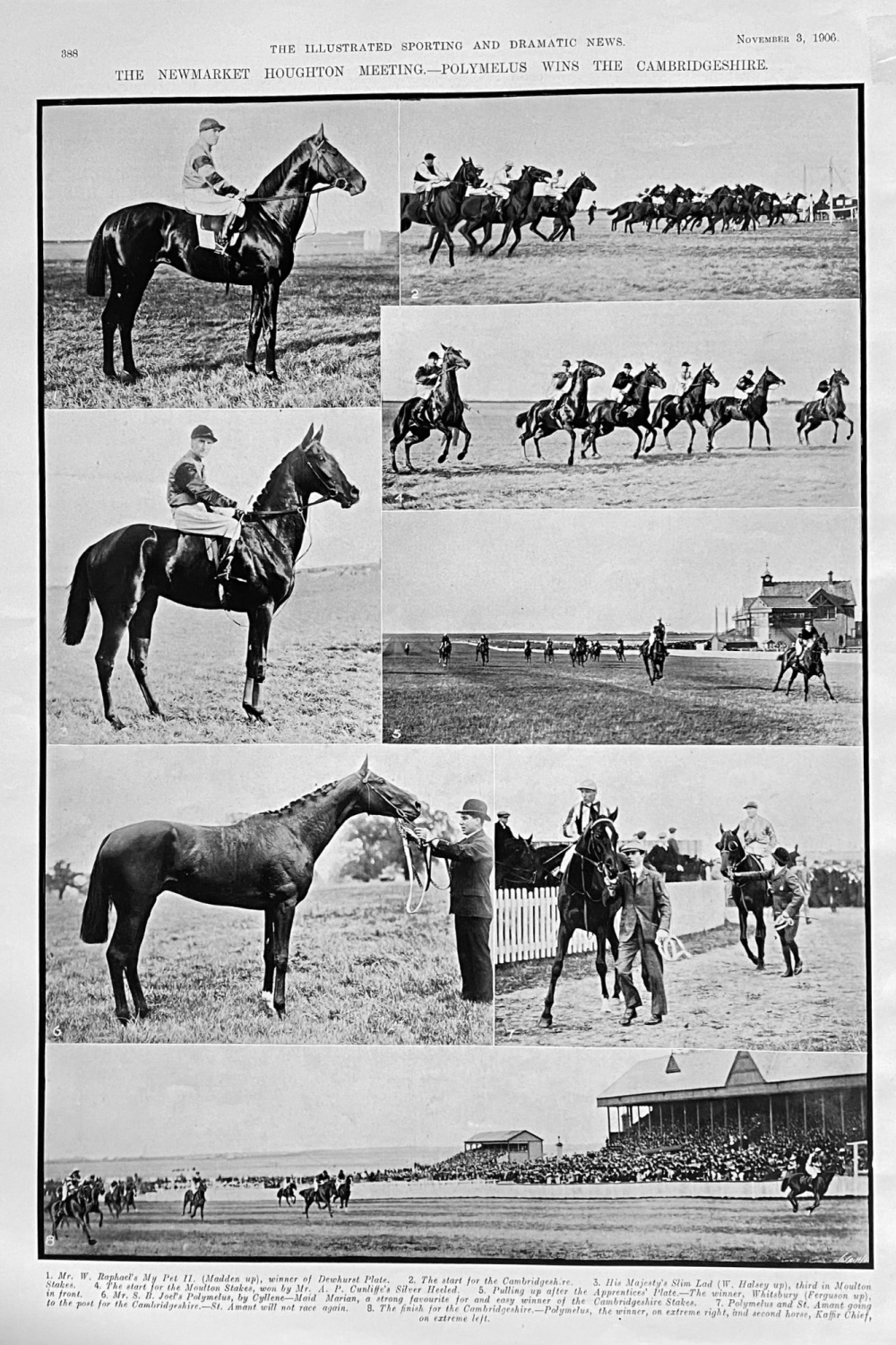 The Newmarket Houghton Meeting.- Polymelus Wins the Cambridgeshire.  1906.