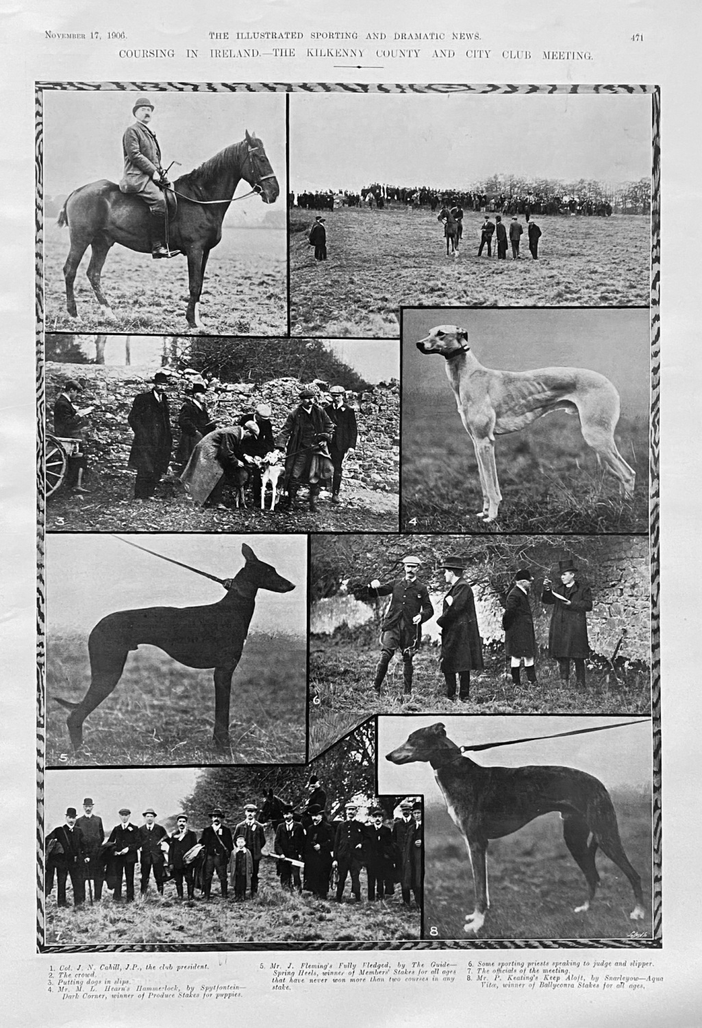 Coursing in Ireland.- The Kilkenny County and City Club Meeting.  1906.