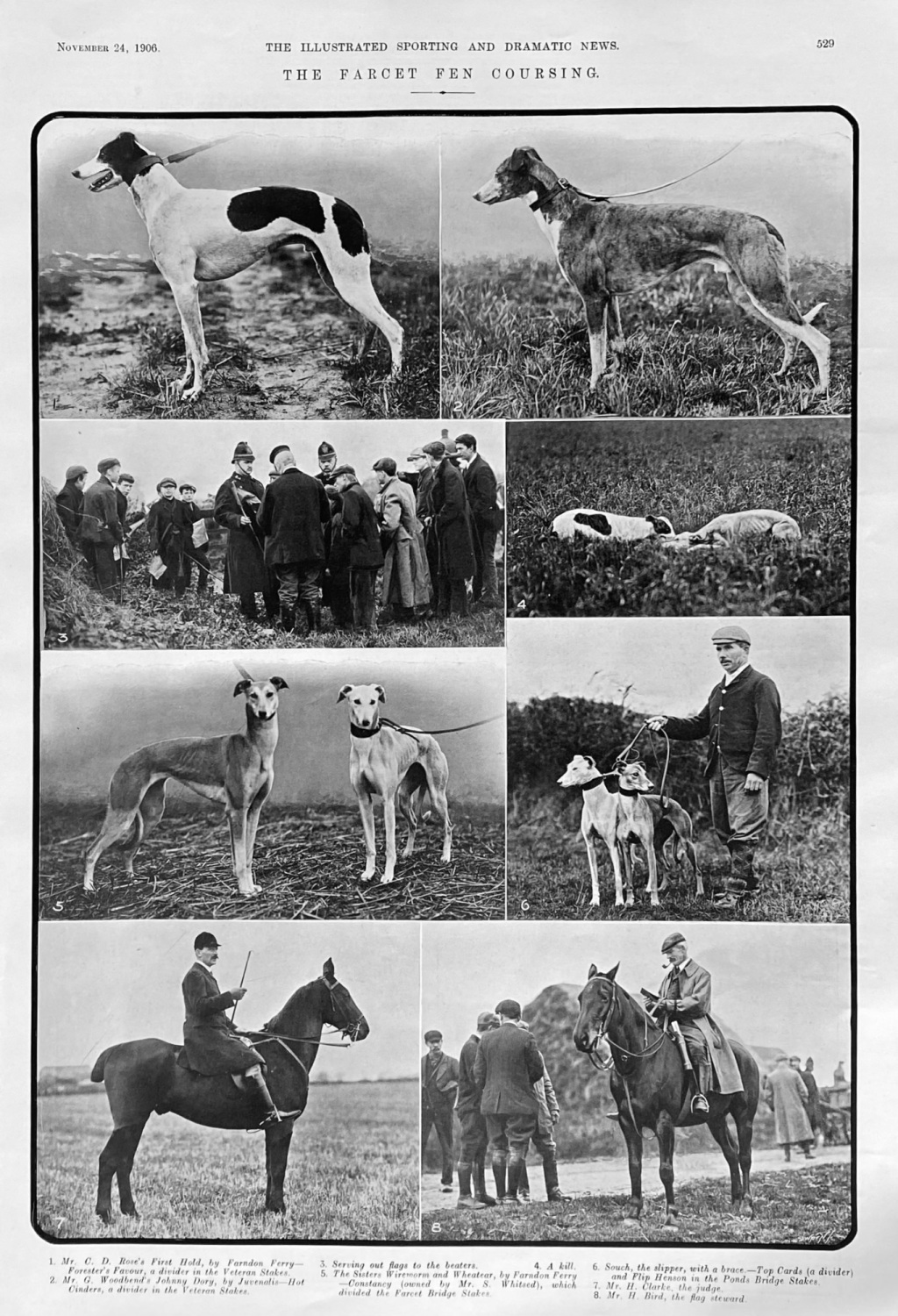 The Farcet Fen Coursing.  1906.