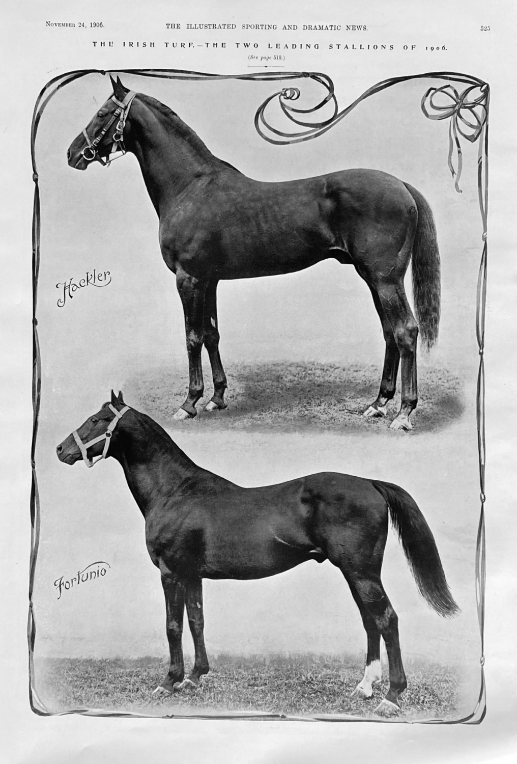 The Irish Turf.- The Two Leading Stallions of 1906.