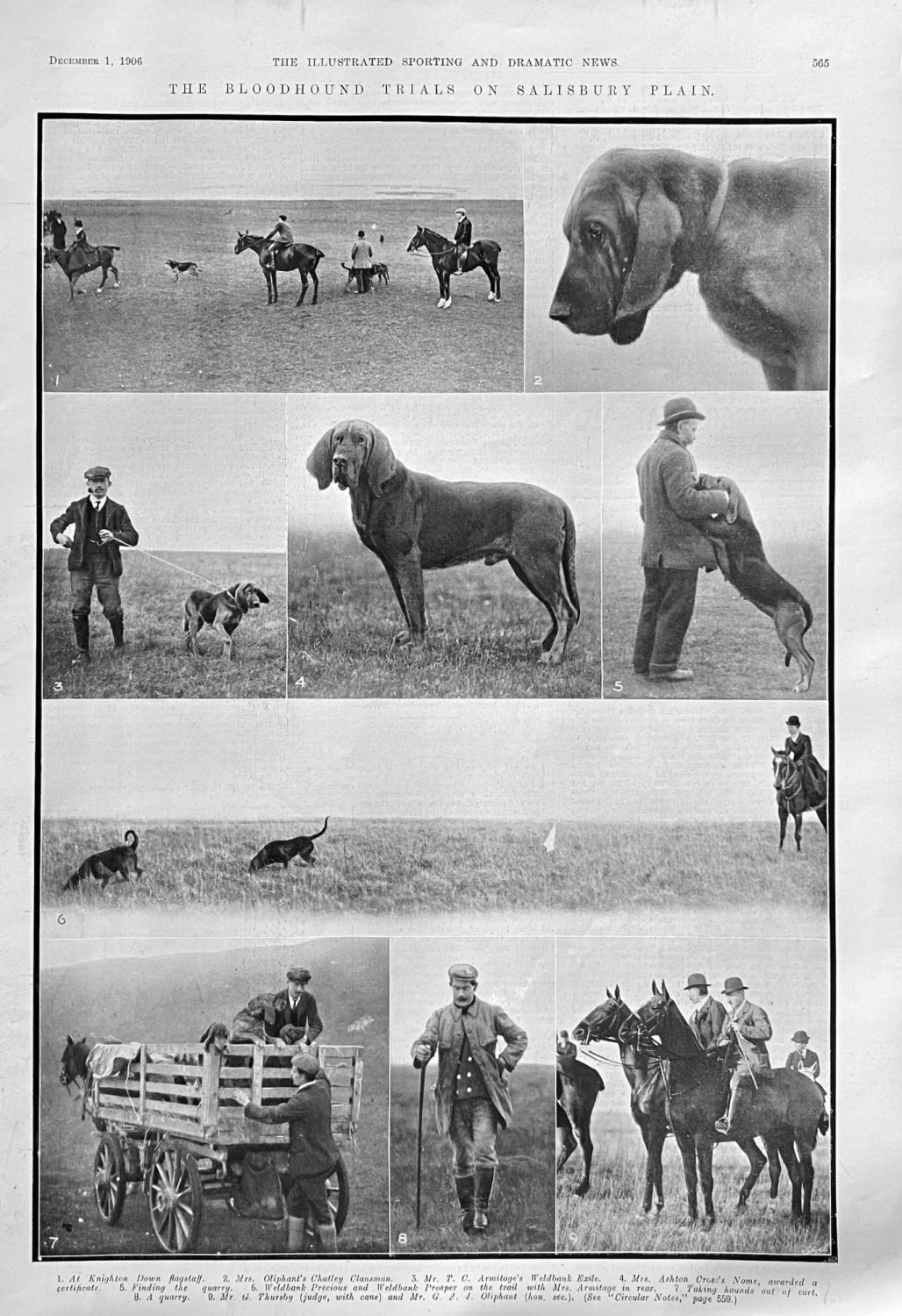 The Bloodhound Trials on Salisbury Plain.  1906.