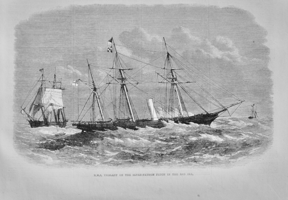 H.M.S Vigilant in the Red Sea - 1868
