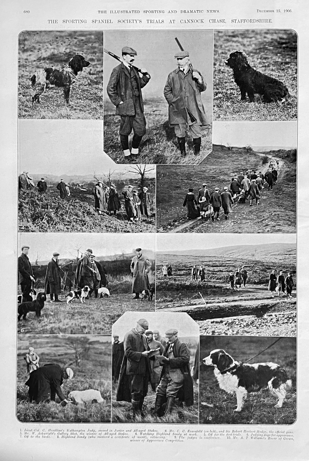 The Sporting Spaniel Society's Trials at Cannock Chase, Staffordshire.  190