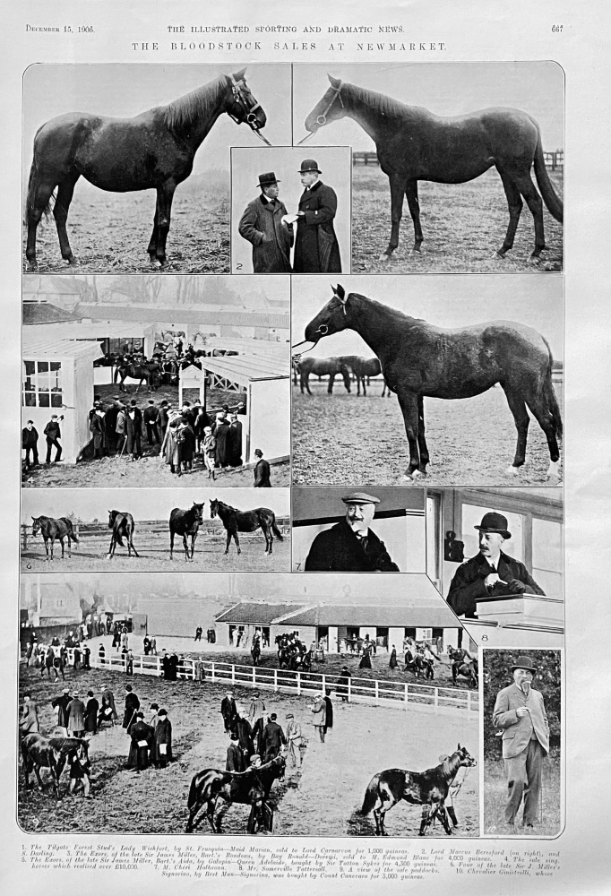 The Bloodstock Sales at Newmarket.  1906.