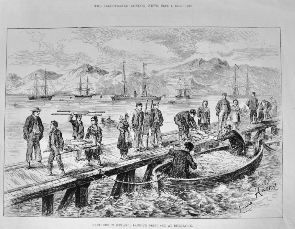 Landing Dried Cod at Reykjavik - 1875