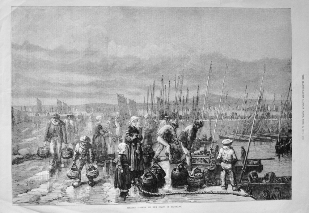 Sardine Fishery on the Coast of Brittany - 1871