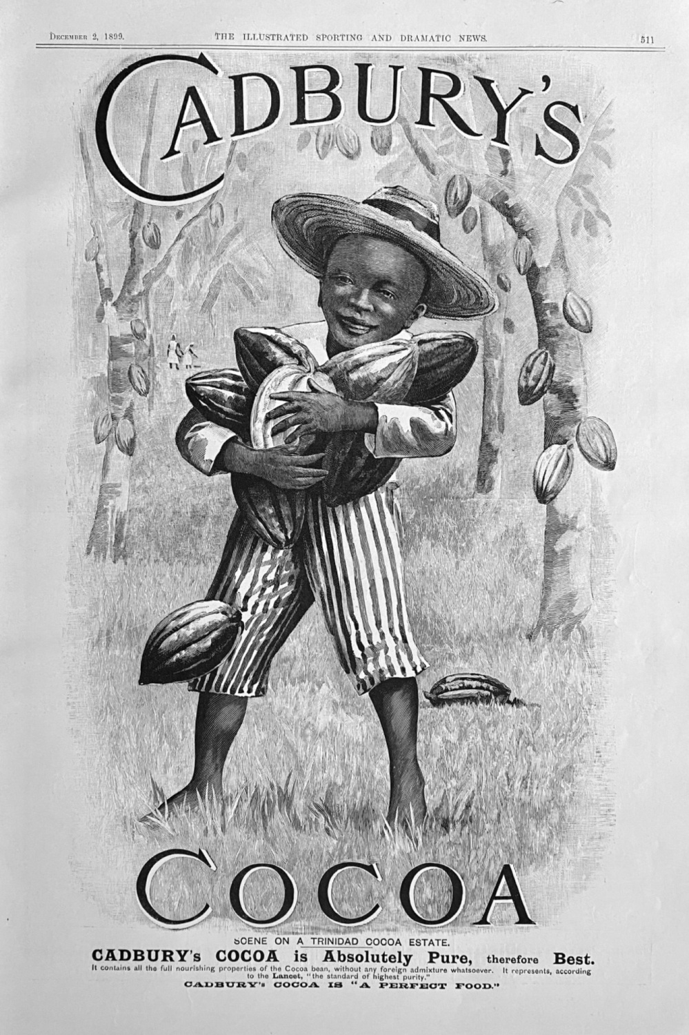 Cadbury's Cocoa.  1899.