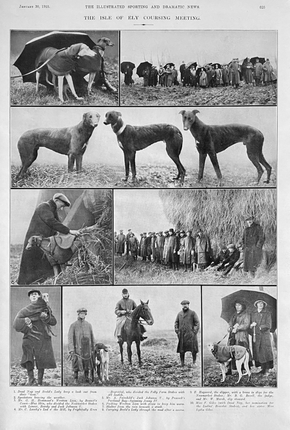 The Isle of Ely Coursing Meeting.  1915.