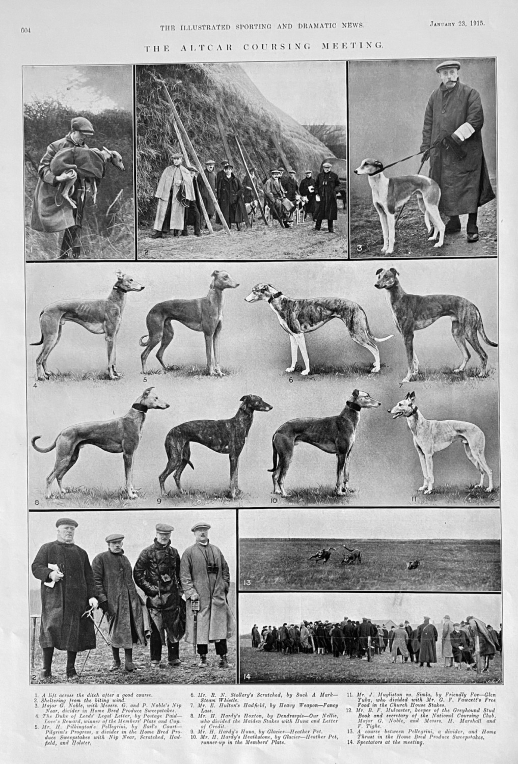 The Altcar Coursing Meeting.  1915.