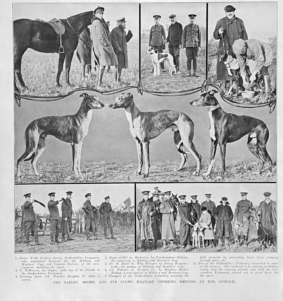 The Oakley, Brome, and Eye Clubs' Military Coursing Meeting at Eye, Suffolk.  1915.