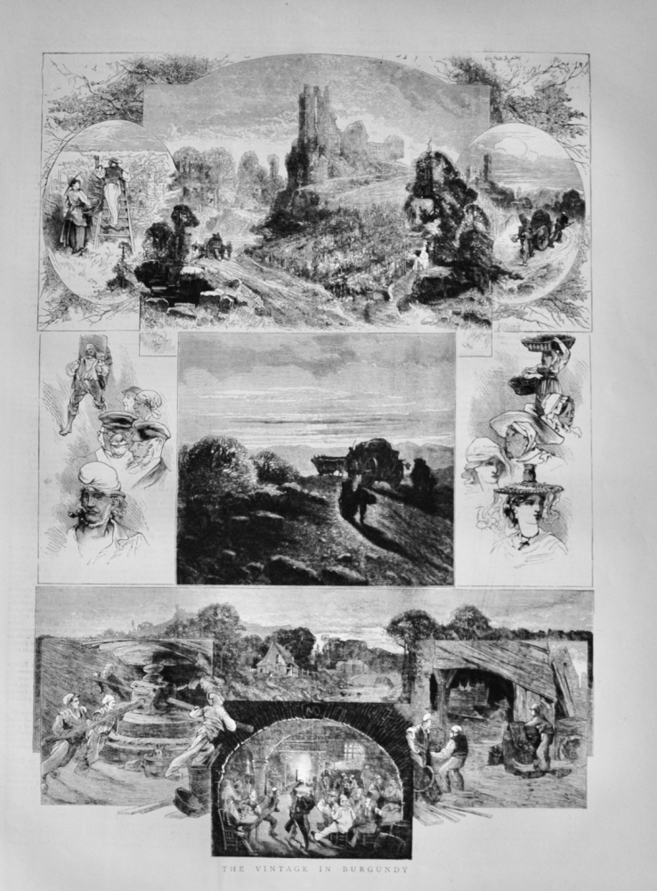 The Vintage in Burgundy - 1871