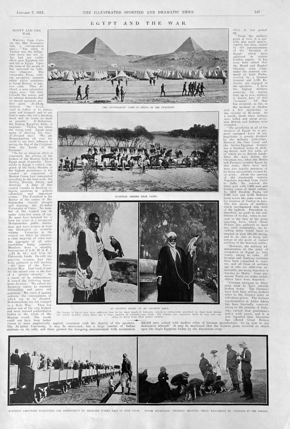 Egypt and the War.  1915.