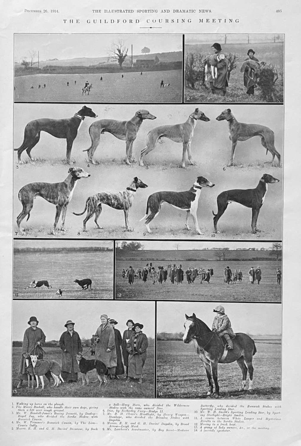 The Guildford Coursing Meeting.  1914.