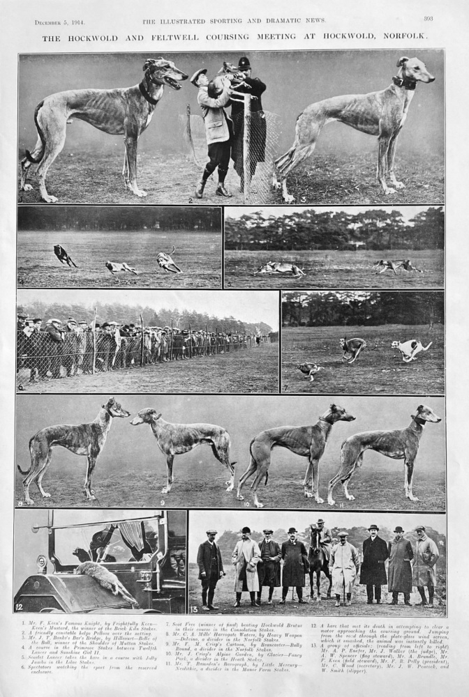 The Hockwold and Feltwell Coursing Meeting at Hockwold, Norfolk.  1914.