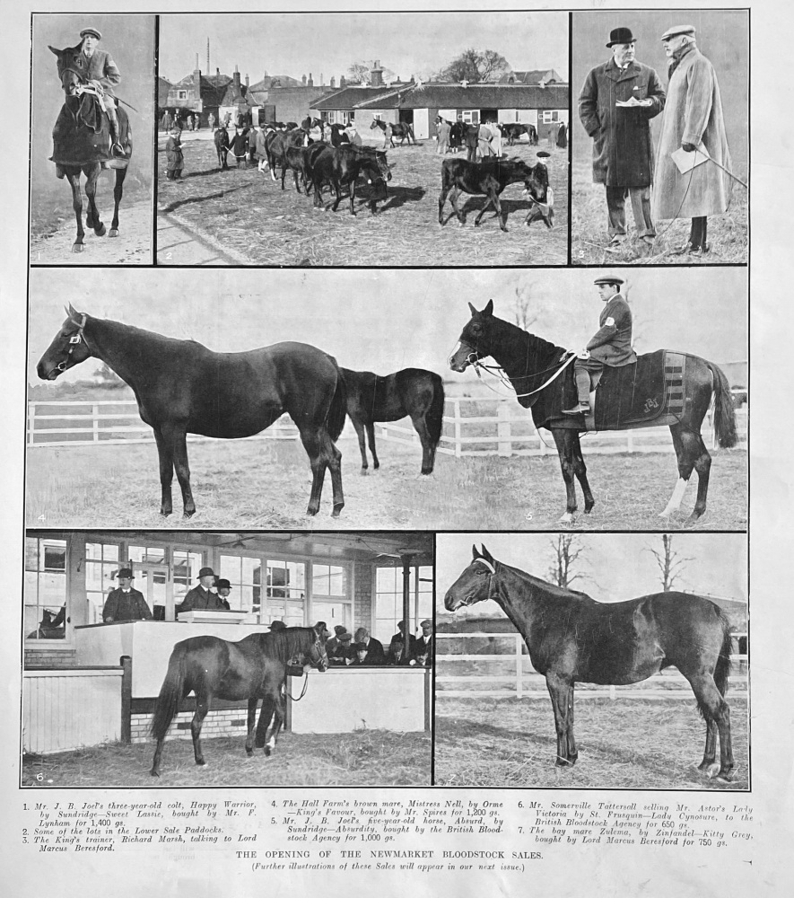 The opening of the Newmarket Bloodstock Sales.  1914.