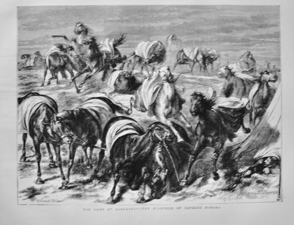 The Camp at Aldershot - 1871