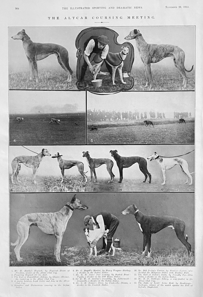 The Altcar Coursing Meeting. 1914.