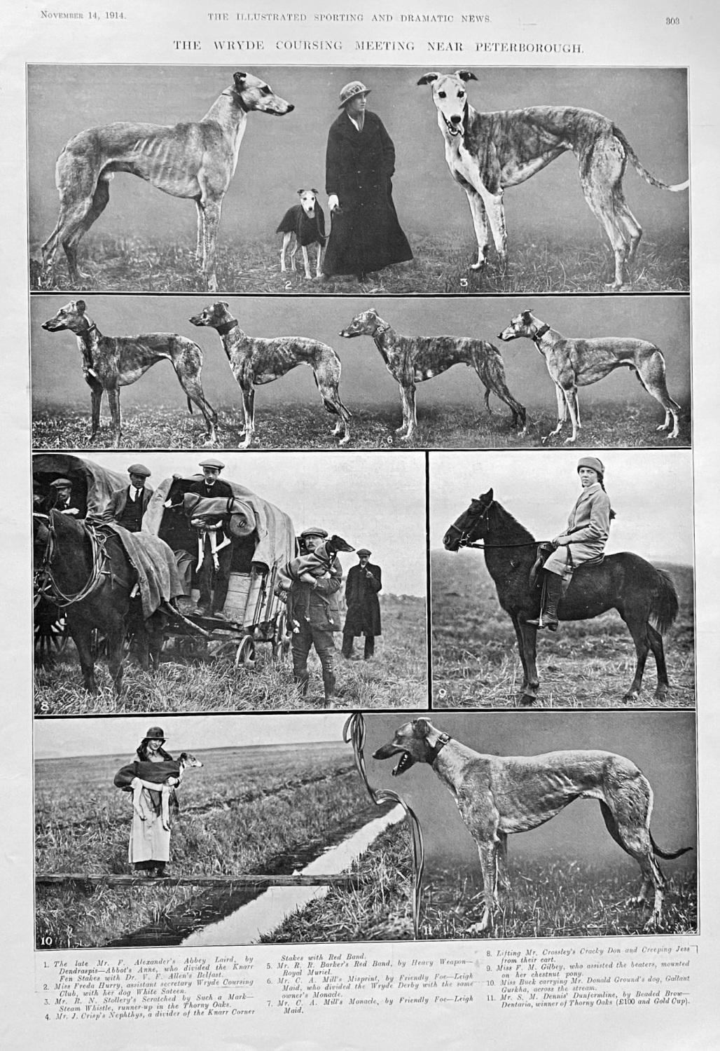 The Wryde Coursing Meeting near Peterborough.  1914.