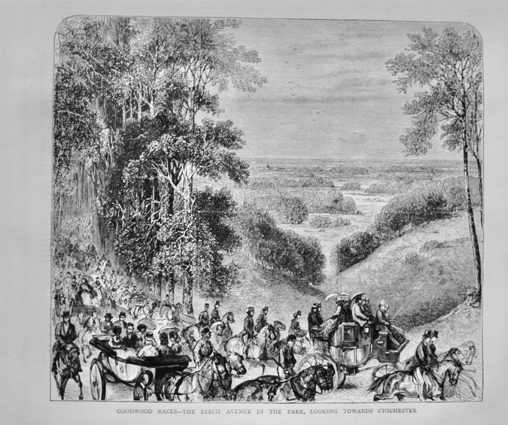 The Beech Avenue in Goodwood Park - 1871