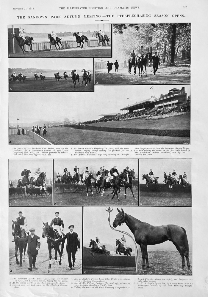 The Sandown Park Autumn Meeting.- The Steeplechasing Season Opens.  1914.
