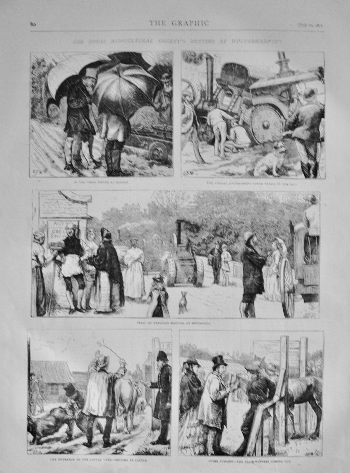 The Royal Agricultural Society at Wolverhampton - 1871