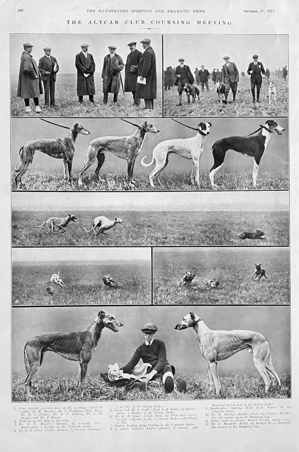 The Altcar Club Coursing Meeting.  1914.