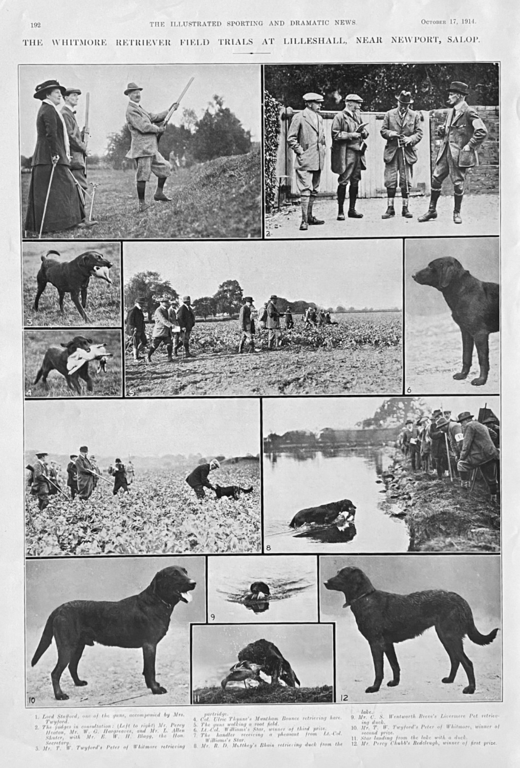 The Whitmore Retriever Field Trials at Lilleshall, near Newport, Salop.  19