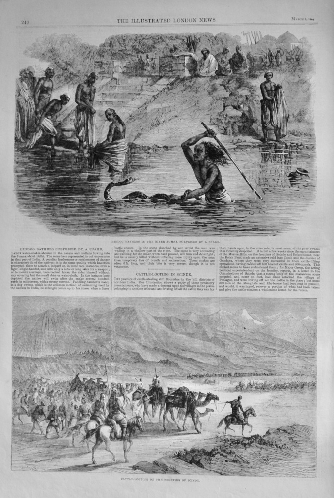 Cattle Looting in Scinde - 1864