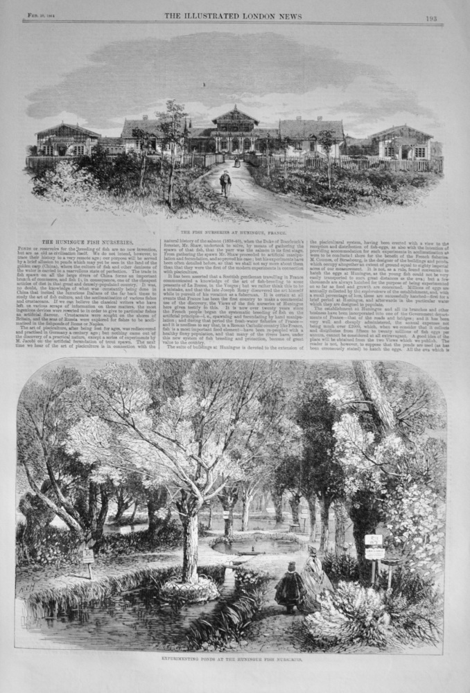 The Huningue Fish Nurseries - 1864