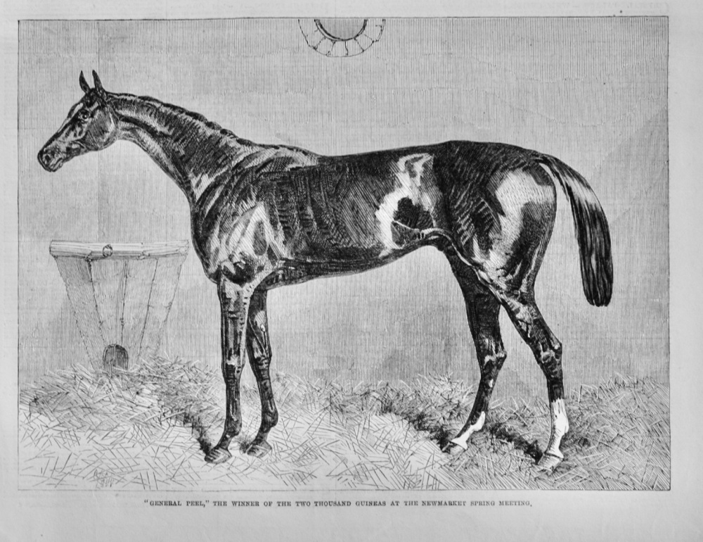 "General Peel" The Winner of the Two Thousand Guineas - 1864