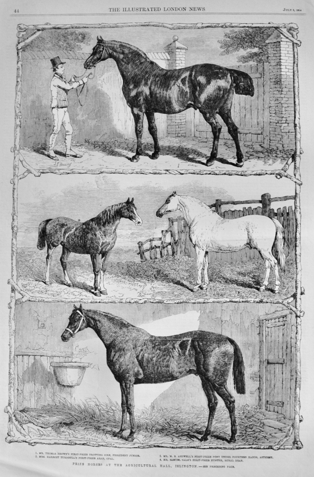 Prize Horses at the Islington Show - 1864