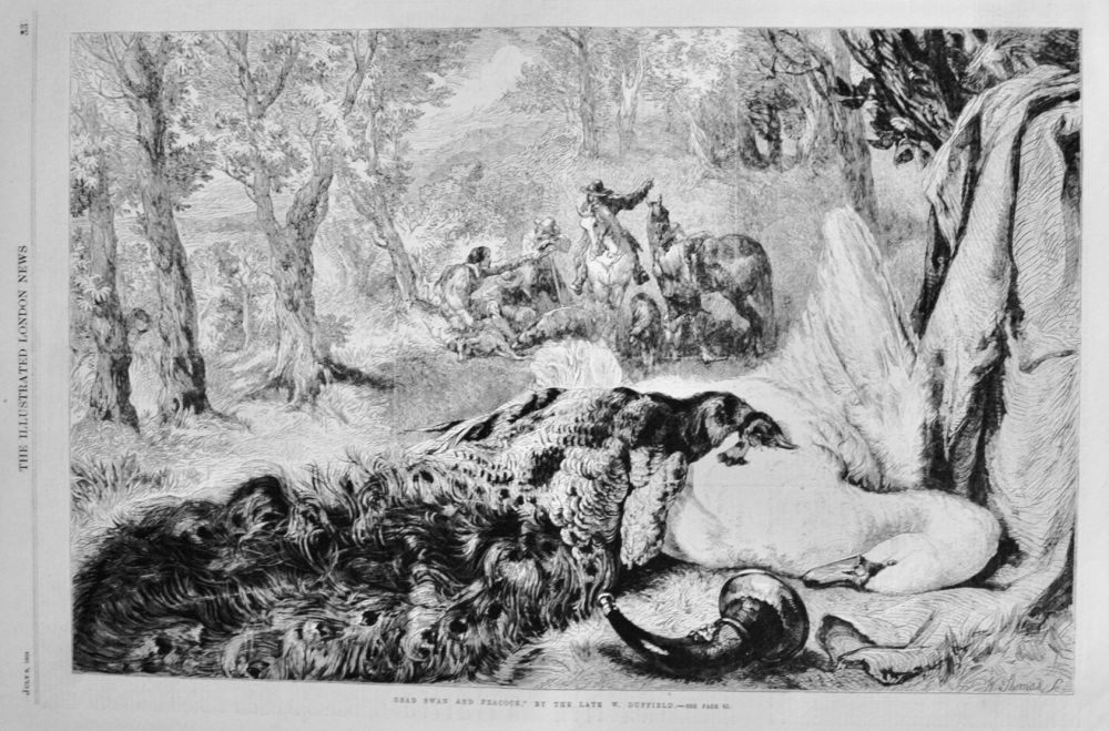 Dead Swan and Peacock by W Duffield - 1864