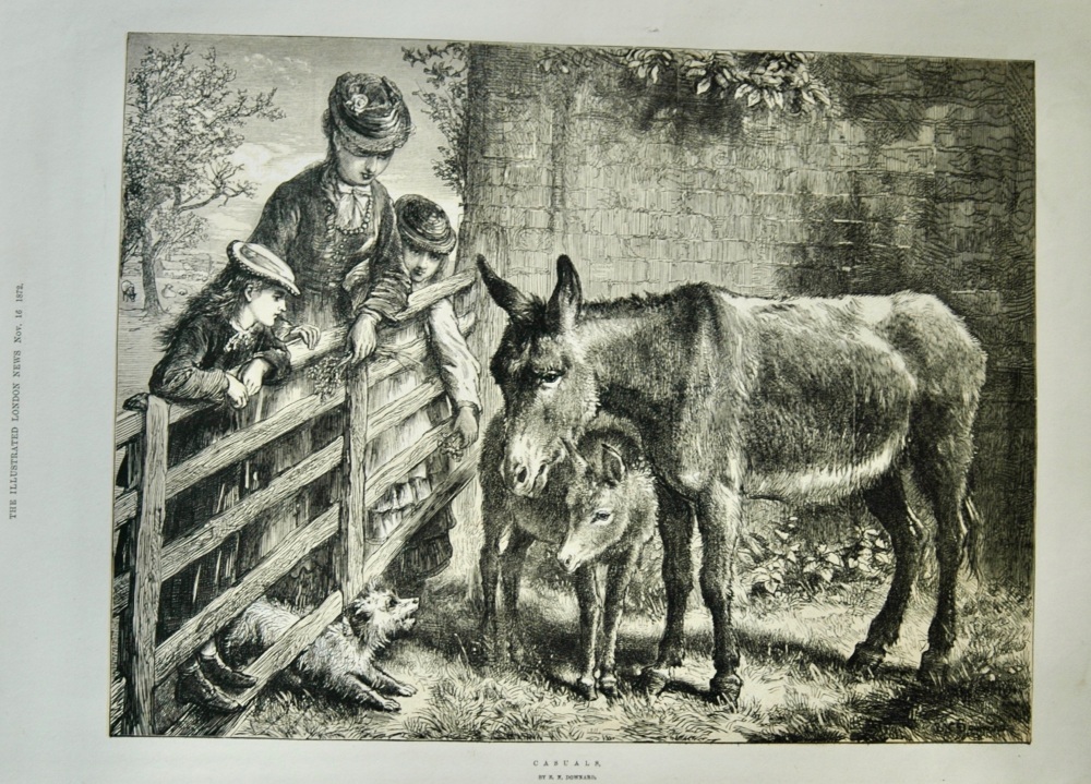 "Casuals" by E N Downard - 1872