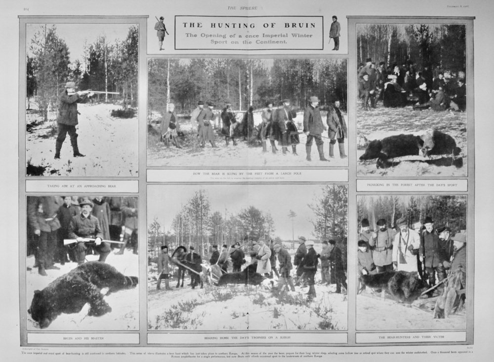 The Hunting of Bruin - 1906