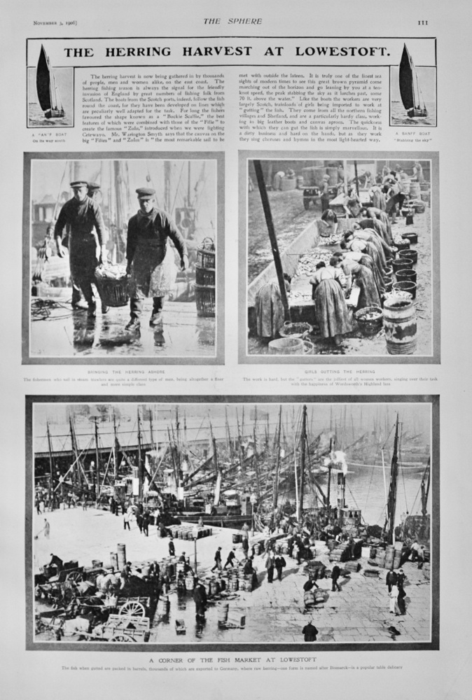 The Herring Harvest at Lowestoft - 1906