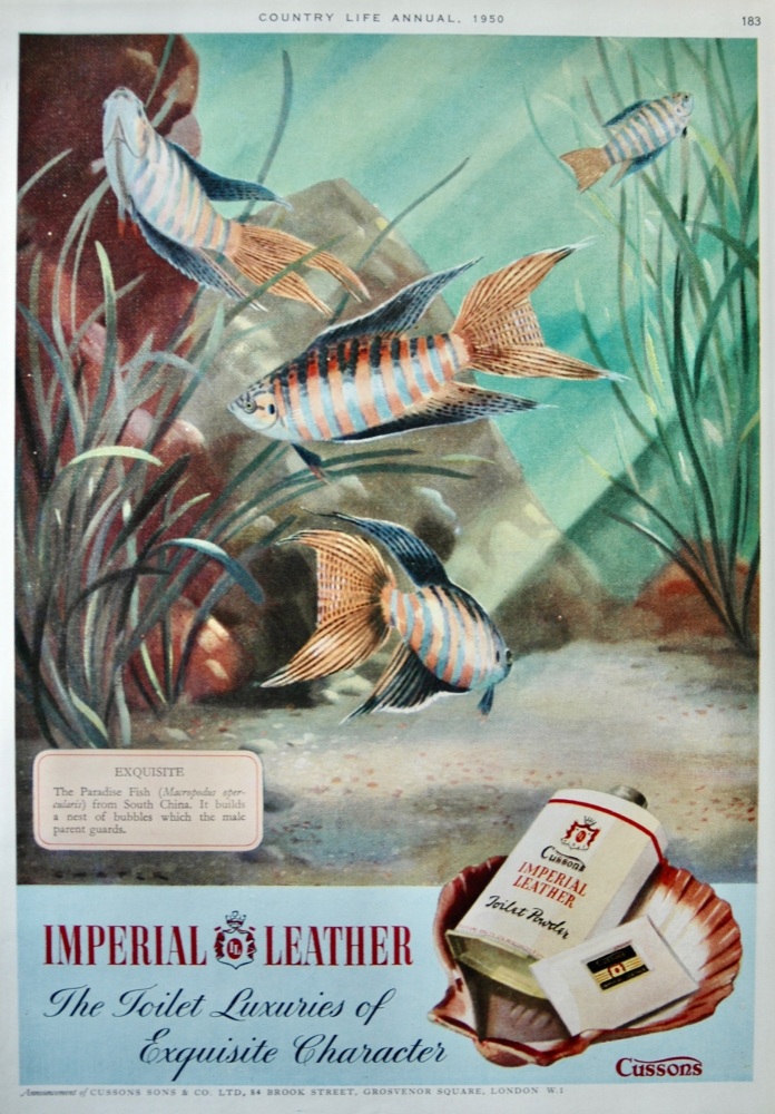 Imperial Leather Toiletries