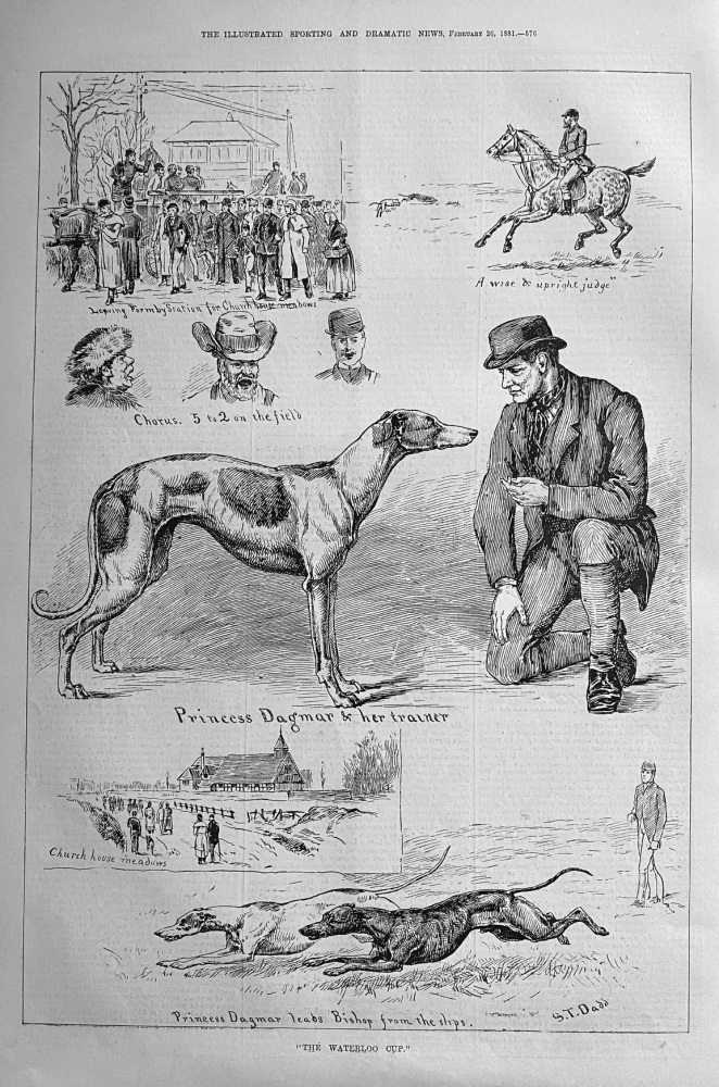 "The Waterloo Cup."  1881.