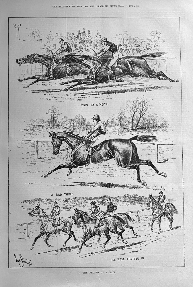 The Record of a Race.  1881.