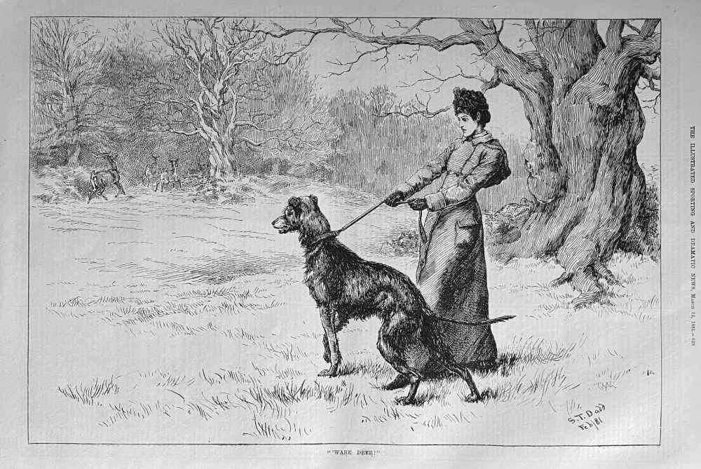 "'Ware Deer!".  1881.