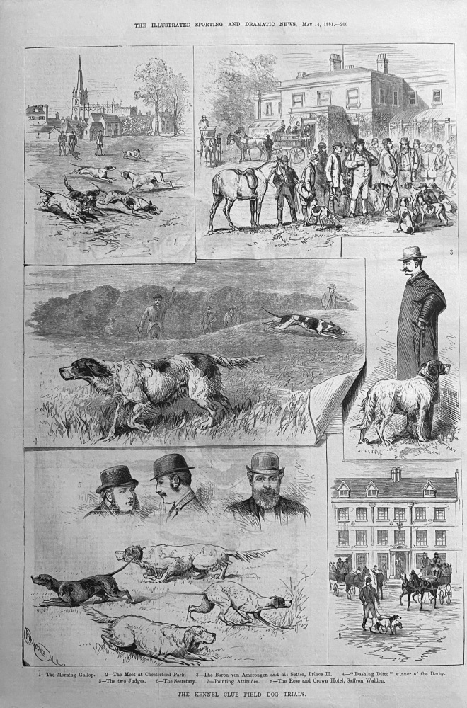 The Kennel Club Field Dog Trials.  1881.