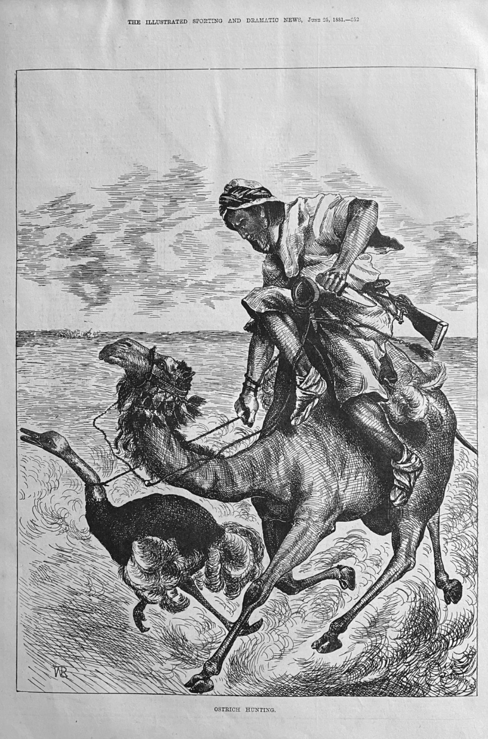 Ostrich Hunting.  1881.