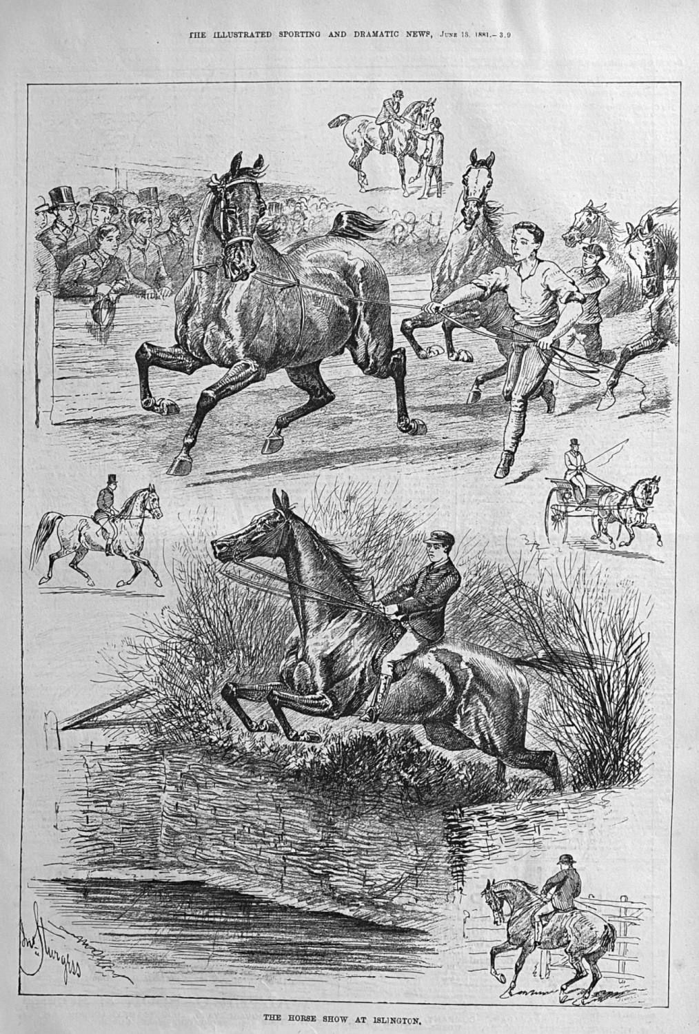 The Horse Show at Islington,  1881,