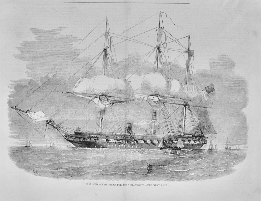 New Screw Steamer "Shannon"