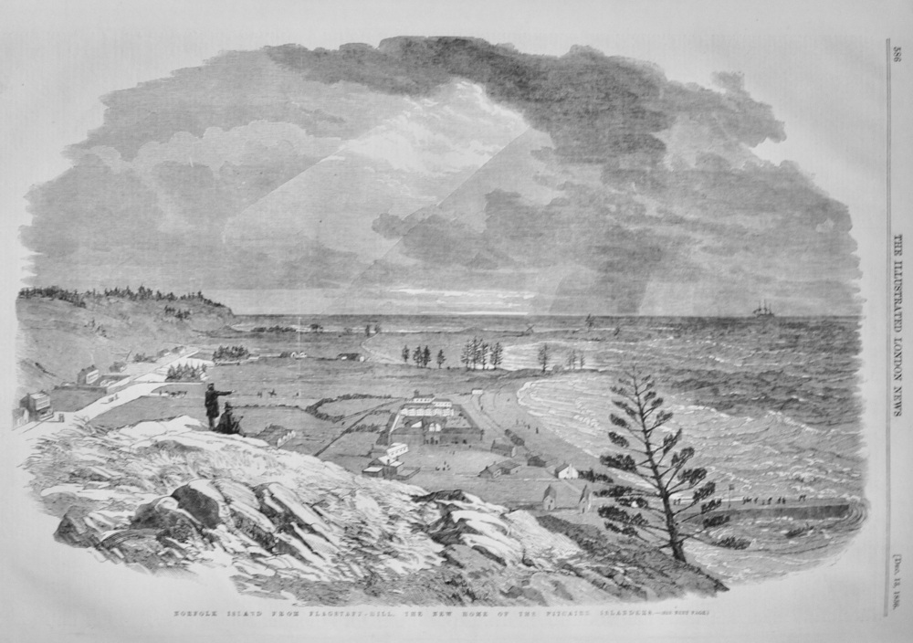 Norfolk Island from Flagstaff Hill