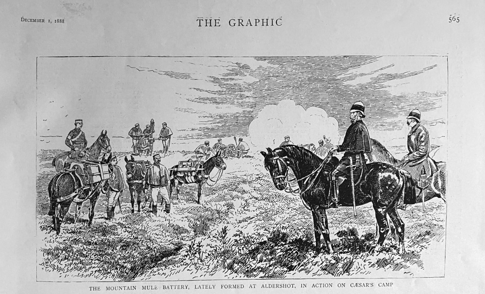 The Mountain Mule Battery, Lately Formed at Aldershot, in action on Caesar's Camp.  1888.
