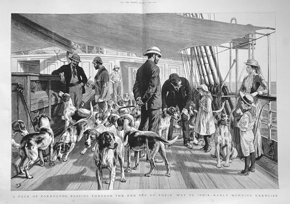 A Pack of Foxhounds Passing through the Red Sea on their way to India- Early morning Exercise.  1888.