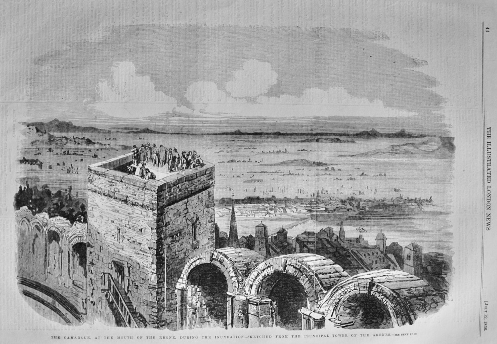 The Camargue, at the Mouth of the Rhone