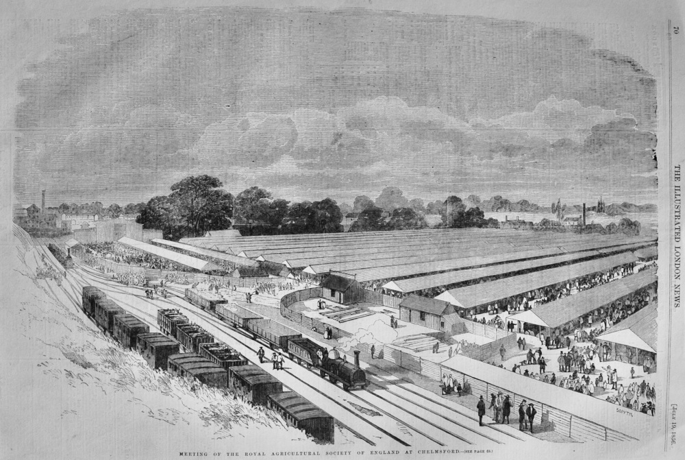 Meeting of the Royal Agricultural Society at Chelmsford