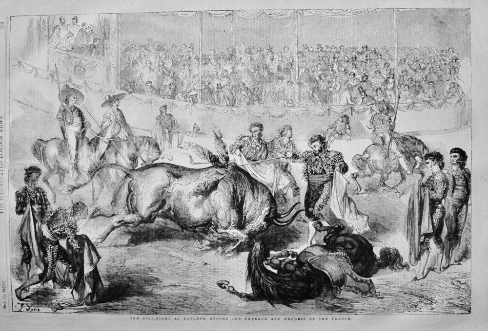 The Bull Fight at Bayonne