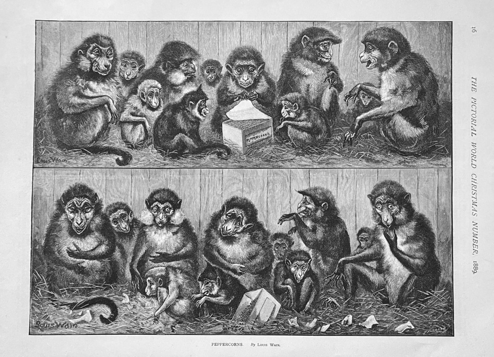 Peppercorns.  By Louis Wain.  1889.